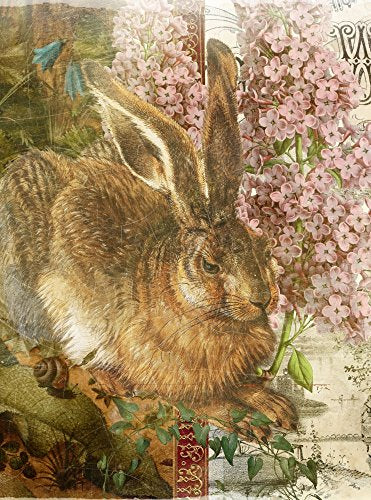 Whimsical Rabbit Poster Print by Aimee Stewart - playful animal art