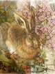 Whimsical Rabbit Poster Print by Aimee Stewart - playful animal art