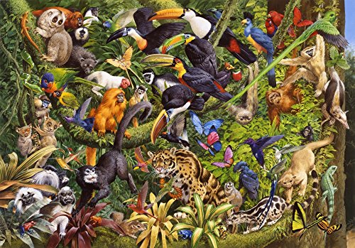 Tropical Rainforest Poster Print by John Francis showcasing lush greenery.