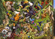 Tropical Rainforest Poster Print by John Francis showcasing lush greenery.