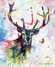Colour Stag Poster Print by Sarah Stribbling showcasing vibrant colors.