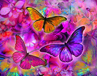 Rainbow Orchid Morpheus Poster Print by Alixandra Mullins featuring vibrant colors.