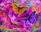 Rainbow Orchid Morpheus Poster Print by Alixandra Mullins featuring vibrant colors.