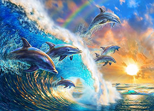 Dolphin Wave Poster Print by Adrian Chesterman showcasing a dolphin riding a wave.