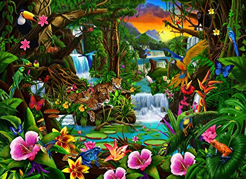 Beautiful Rainforest Poster Print by Gerald Newton in vibrant colors.