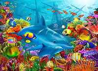 Dolphin's Shipwreck poster print by Gerald Newton capturing dolphins underwater.