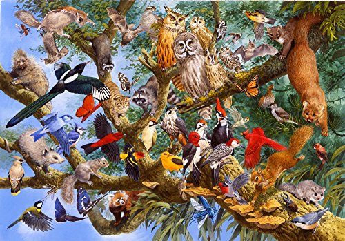 Temperate Forest Tree Top Poster Print by John Francis, vibrant nature artwork