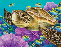 Young Green Sea Turtle Poster Print by Carolyn Steele, showcasing marine life.