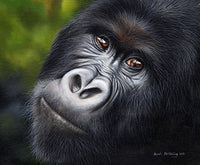 Mountain Gorilla Poster Print by Sarah Stribbling in vibrant colors.
