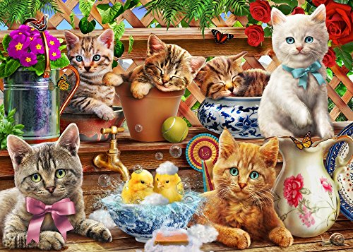 Kittens in the Potting Shed Poster Print by Adrian Chesterman