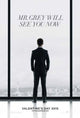 Fifty Shades of Grey movie poster 11x17 print