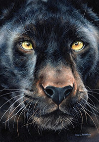 Black Panther Portrait Poster Print by Sarah Stribbling