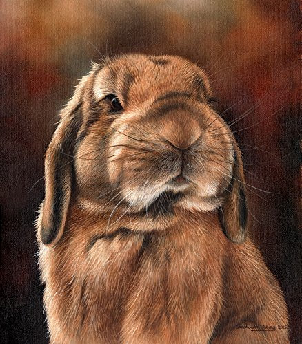 Lop Rabbit Poster Print by Sarah Stribbling showcasing a charming rabbit illustration.