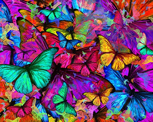 Butterfly Rainbow Explosion Poster Print by Alixandra Mullins featuring colorful butterflies.