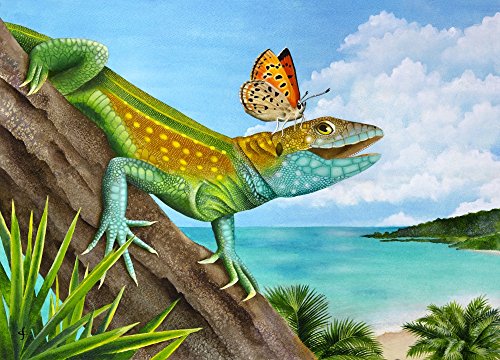 Lizard Landing Poster Print by Carolyn Steele featuring vibrant colors and intricate details
