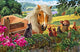 Horse and Cats Poster Print by Steve Crisp, featuring playful interaction between animals.