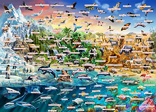 Endangered Species Poster Print by Adrian Chesterman showcasing vibrant wildlife.