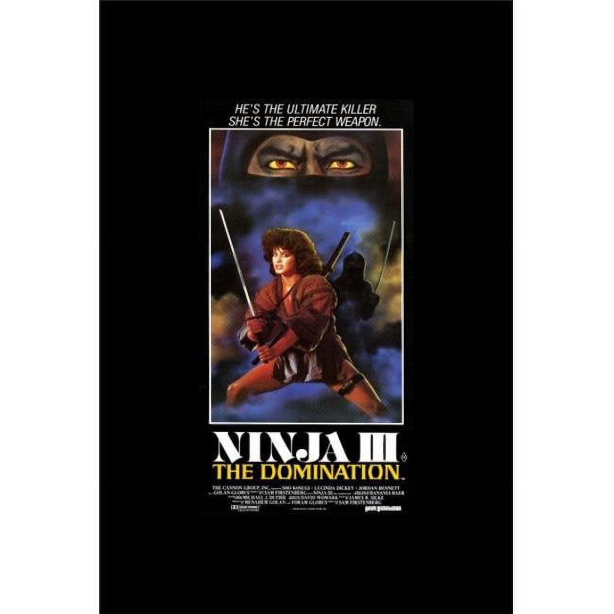 Ninja 3: The Domination Movie Poster Print - 27x40