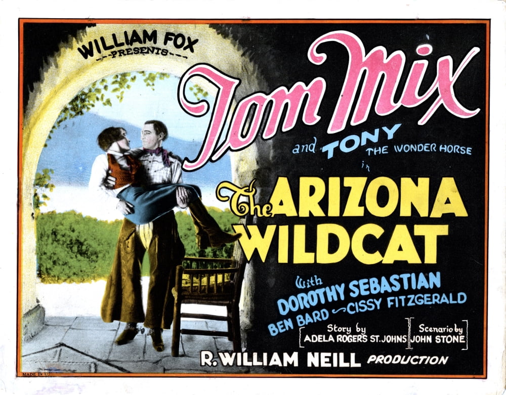 Charming poster print in 14x11 size showing vibrant colors.