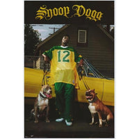 Snoop Dogg movie poster 11x17 print showcasing vibrant colors.