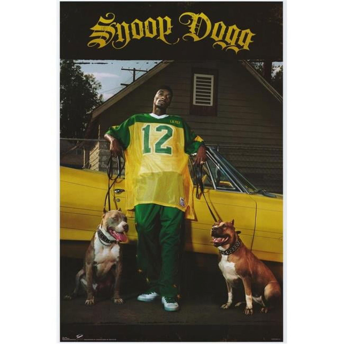 Snoop Dogg Movie Poster Print 27x40 - vibrant hip-hop art