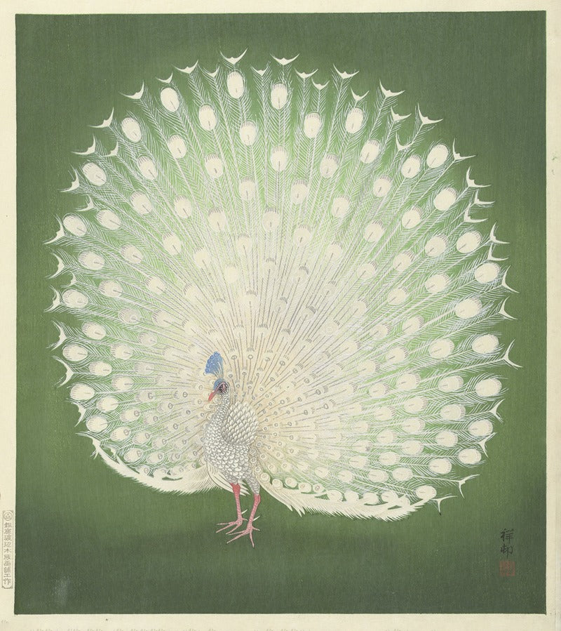 Peacock art print by Ohara Koson showcasing vibrant colors and intricate details.