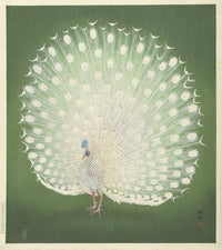 Peacock art print by Ohara Koson showcasing vibrant colors and intricate details.
