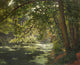 Sunlit Woodland River fine art print by Henri Biva, showcasing a tranquil river in a sunlit forest.