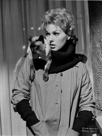 Kim Novak posed in formal outfit with cat photo print