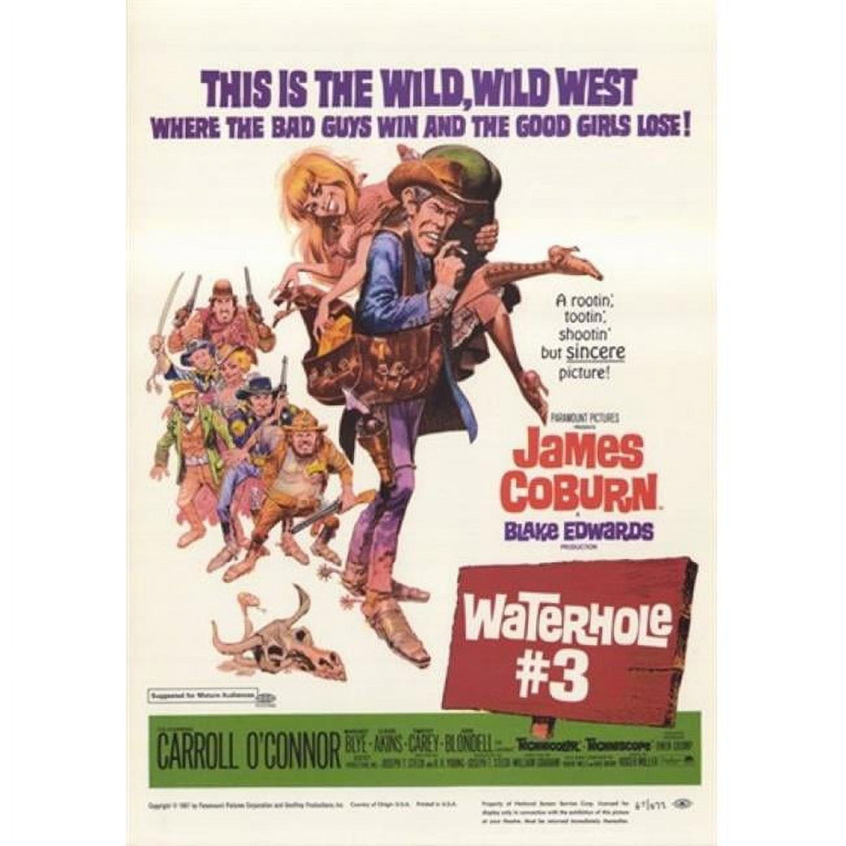 Waterhole #3 Movie Poster 11x17 print for film enthusiasts.