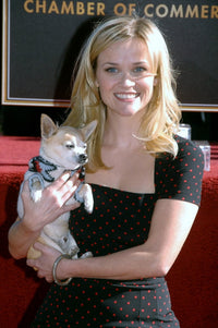 Celebrity photo print by Michael Germana from the Everett Collection in 8x10 and 24x30 sizes.