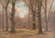 Late Fall in the Beech Forest Poster Print by Peter Paul Müller