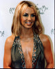 Britney Spears photo print in low-cut gray diamond top at American Music Awards.
