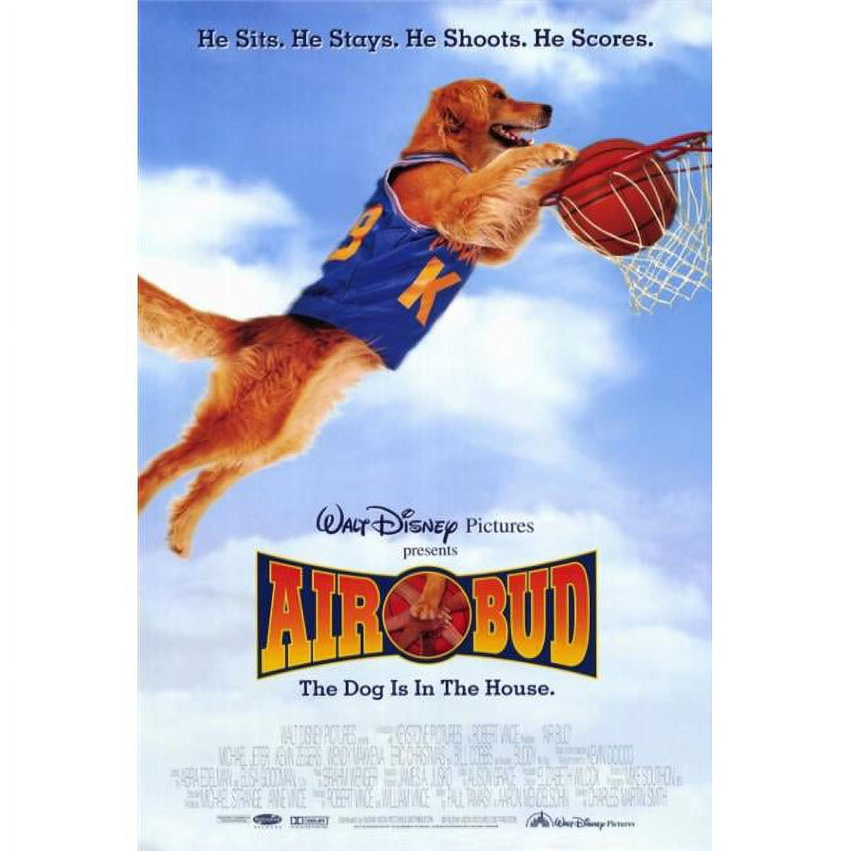 Air Bud: Golden Receiver Movie Poster Print 27x40