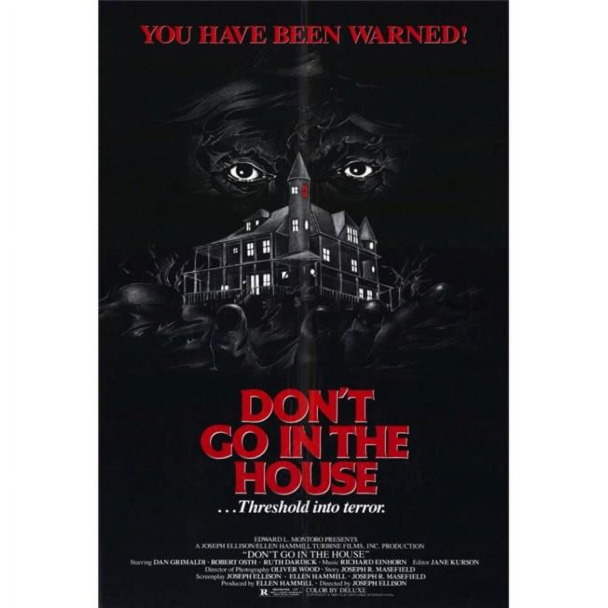 Don't Go in the House Movie Poster Print - 27x40 size featuring iconic horror imagery.