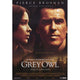 Grey Owl Movie Poster 11x17 print showcasing natural beauty and cinematic allure.