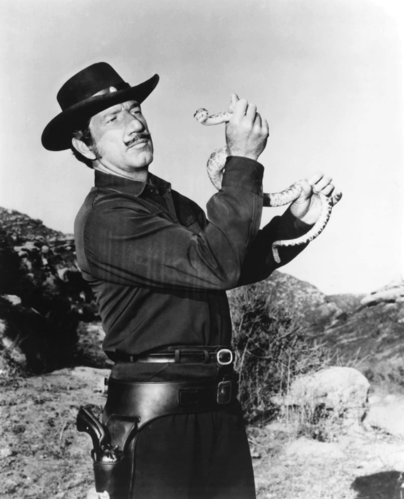 Have Gun-Will Travel Portrait Poster Print Collection