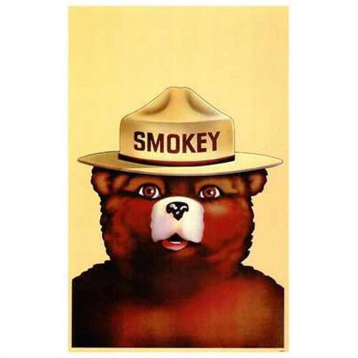 Smokey the Bear Movie Poster - 11x17 print promoting fire safety.