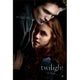 Twilight Movie Poster Print 27x40 - Captivating cinematic art