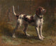 Limier Briquet Hound Fine Art Print from Posterazzi