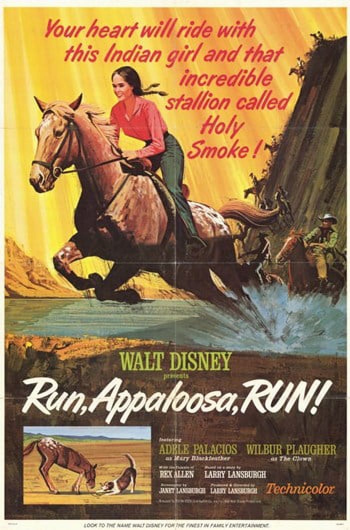Run Appaloosa Run Movie Poster 11x17 print