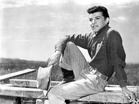 Frankie Avalon photo print on a fence, vintage Americana art.