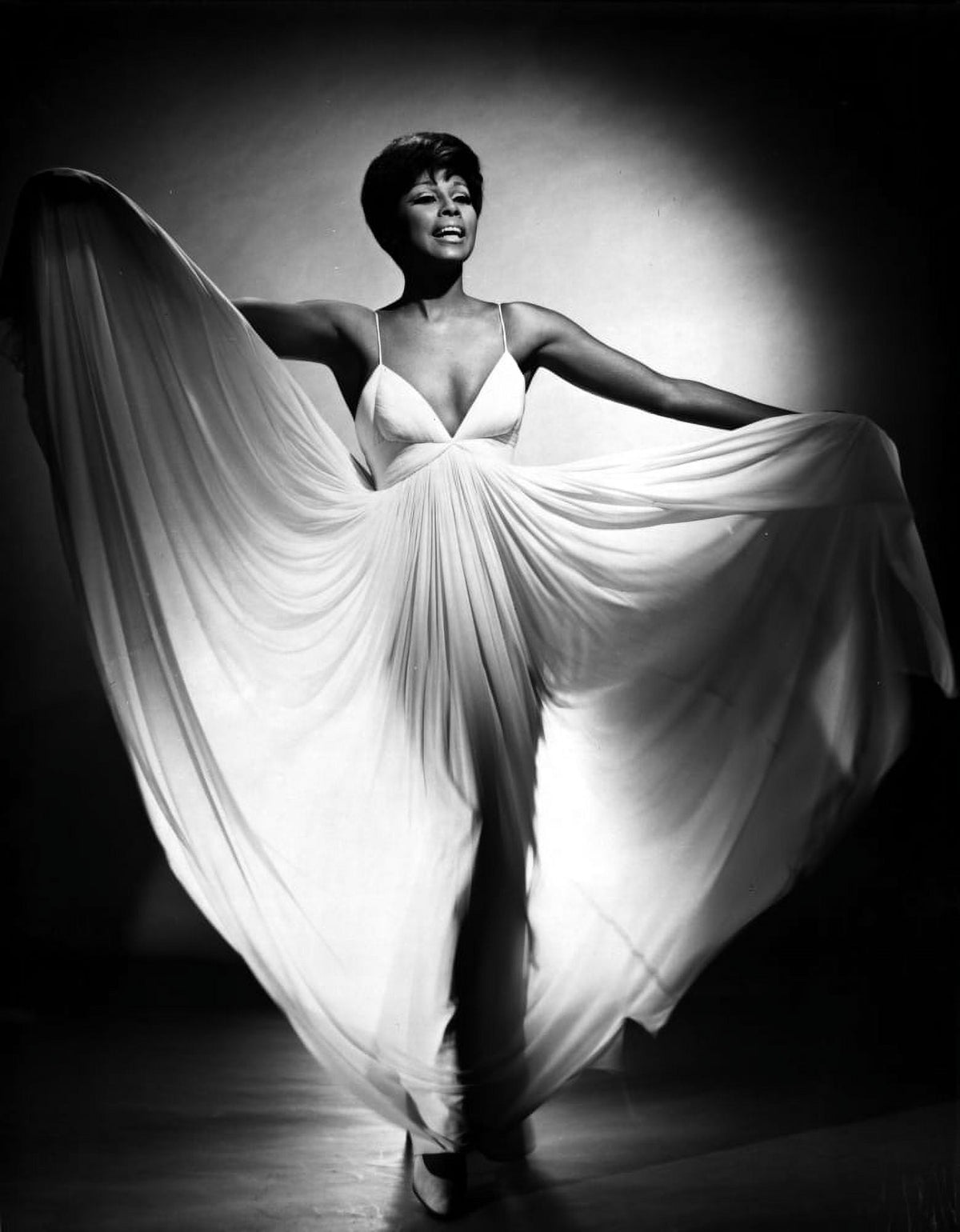 Diahann Carroll classic photo print in elegant pose.