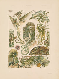 Das Thier in der Decorativen Kunst Pl.02 Poster Print by Anton Seder, showcasing intricate decorative art.