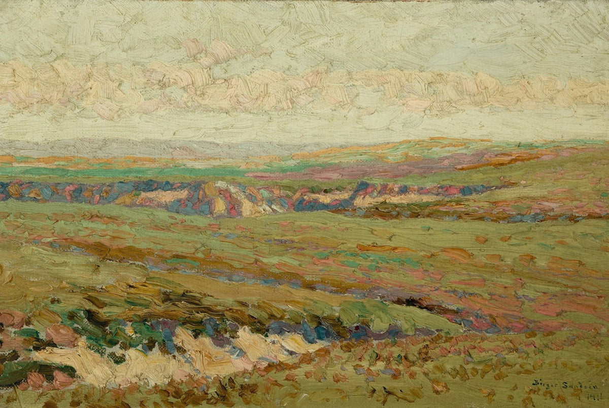 View of Western Kansas 1911 fine art print by Birger Sandz�n