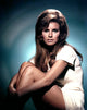 Raquel Welch iconic photo poster print, available in multiple sizes.