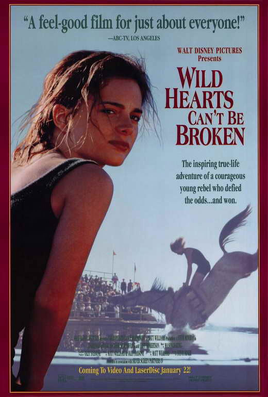 Wild Hearts Can't Be Broken movie poster 27 x 40, vibrant film art