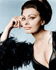 Sophia Loren Arabesque 1966 photo print in 8x10 size.