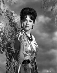 Suzanne Pleshette posed with ferns in a vintage photo print.
