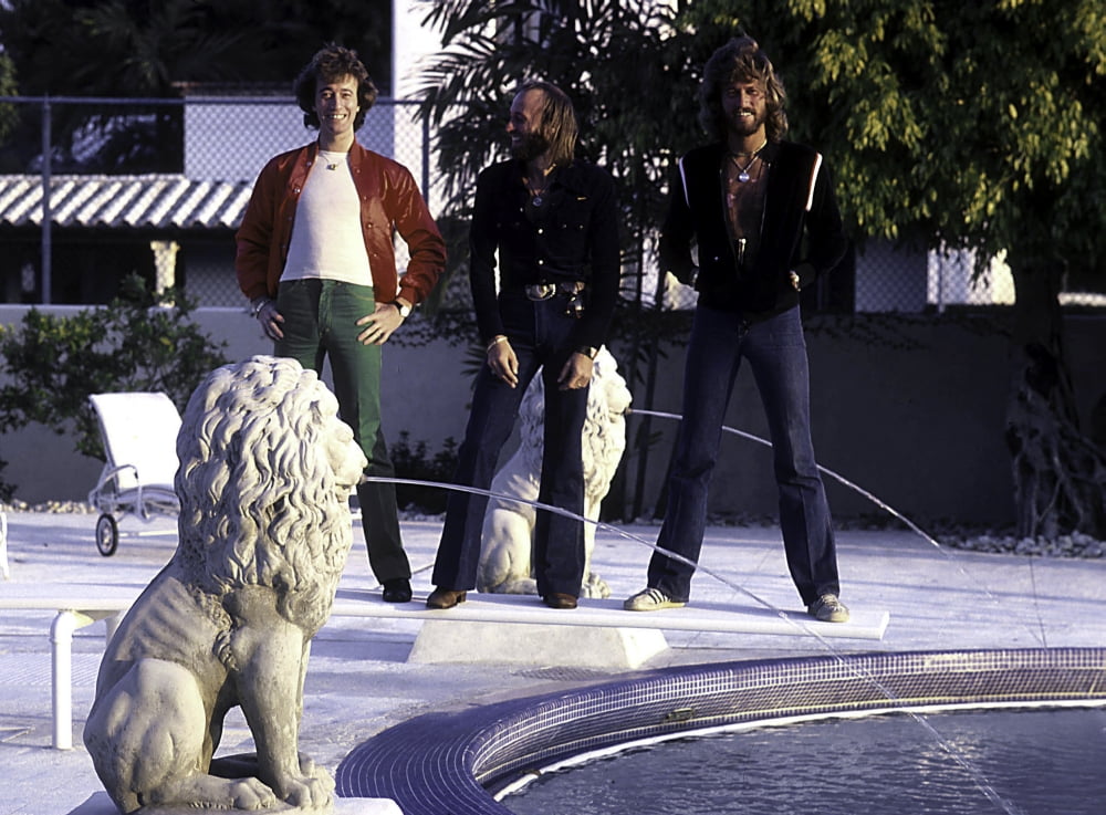 The Bee Gees photo print featuring a serene water fountain backdrop.